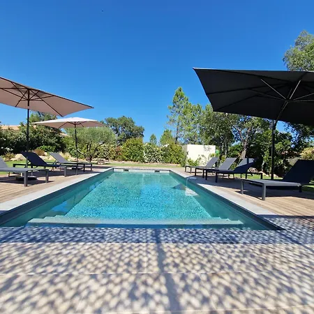 Alvalmax ポルトヴェッキオ